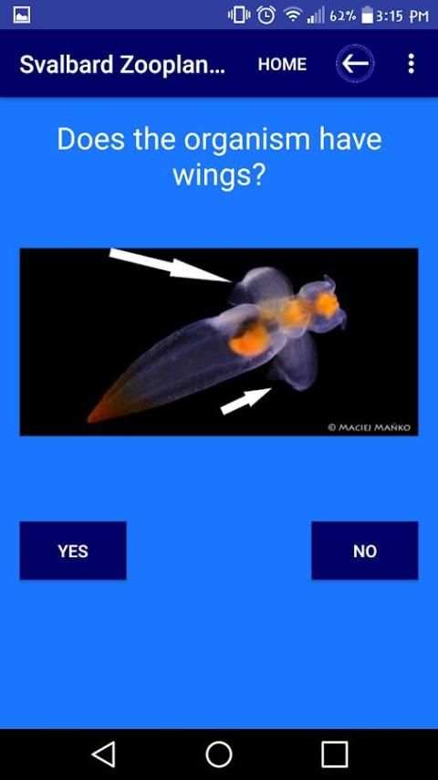 Svalbard Zooplankton Identification App स्क्रीनशॉट 3
