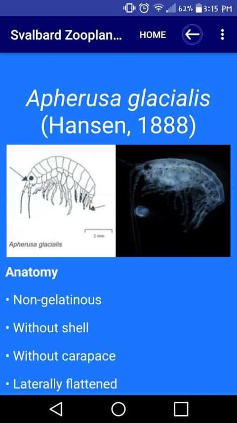 Svalbard Zooplankton Identification App स्क्रीनशॉट 4