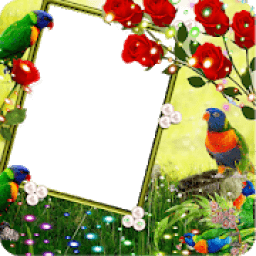 ikon Rainbow Insta DP FREE PHOTO FARME