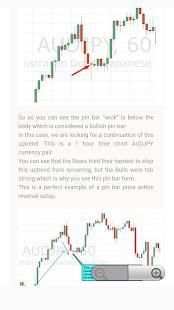 Price Action Trading Guide For Beginners screenshot 1