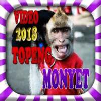 video topeng monyet asik on 9Apps