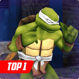 ikon Ninja Beatem Turtles