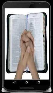 Alkitab Audio скриншот 3