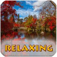 Relaxing Music (The Best) Free Radio Online on 9Apps