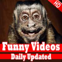 Funny Videos for WhatsApp