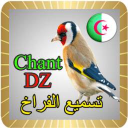chant chardonneret algerie 1.0