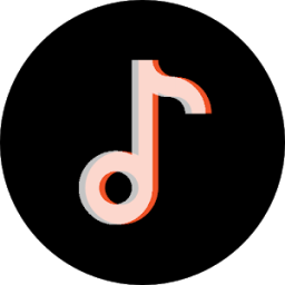 TIK TOK Video icon