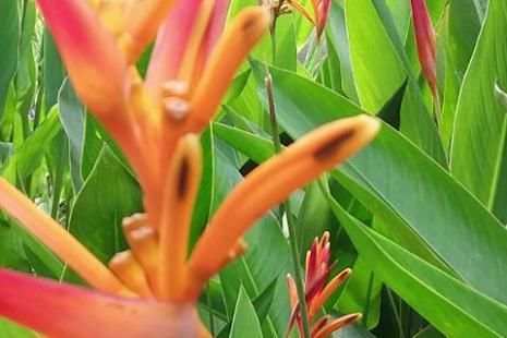 Camera For Samsung Galaxy J2 Pro screenshot 3