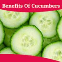 Health Benefits Of Cucumbers on 9Apps