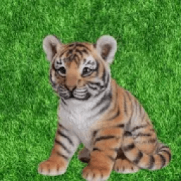 Animal Sounds आइकन