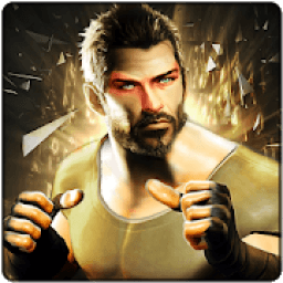 ikon Street Combat Hero 3d