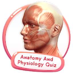 Human Anatomy And Physiology Quiz