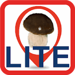 ikon Boletus In Map Lite