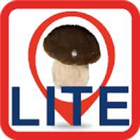 Boletus In Map Lite