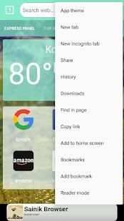 Browser plus screenshot 2