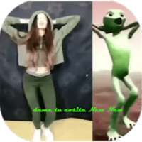 ikon dame tu cosita