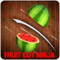 Fruit Cut Ninja 3D logo