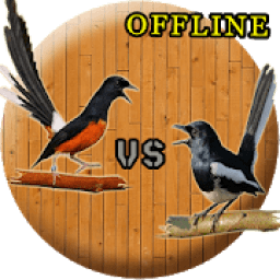 Suara Kacer Dan Murai Batu icon