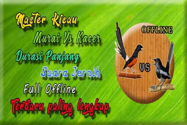 Suara Kacer Dan Murai Batu screenshot 1