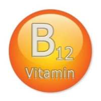 Vitamin B12 Foods on 9Apps