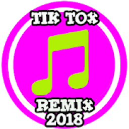 DJ Tik Tok Best Remix 2018 icon