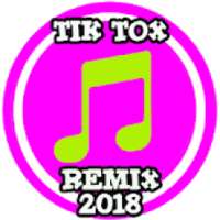 DJ Tik Tok Best Remix 2018 on 9Apps