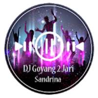 DJ Goyang 2 Jari Sandrina Full Offline + Lirik on 9Apps