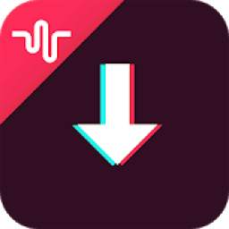 Video Downloader for Musically | Tiktok | Instag