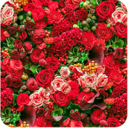 Flowers Wallpaper आइकन