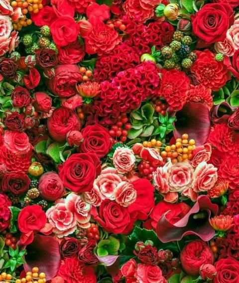 Flowers Wallpaper screenshot 5