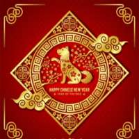 Chinese New Year Photo Editor App on 9Apps