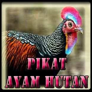 Suara Pikat Ayam Hutan screenshot 2