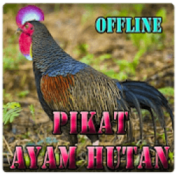 Suara Pikat Ayam Hutan icon