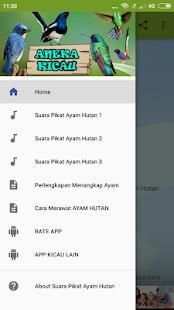 Suara Pikat Ayam Hutan screenshot 3