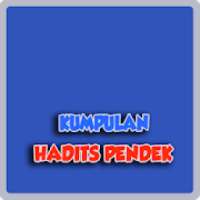 Kumpulan Hafalan Hadits Pendek on 9Apps