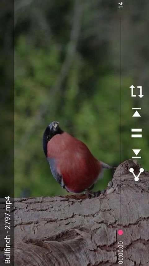 Max Volume Video Player, HD स्क्रीनशॉट 2
