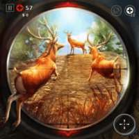 Deer Hunting Shooter Sniper Simulator
