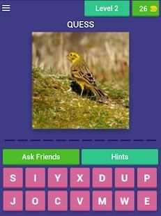 Bird Quiz screenshot 4