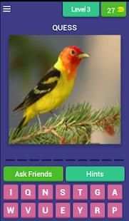 Bird Quiz screenshot 12