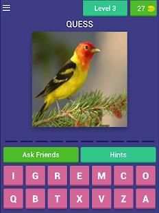 Bird Quiz screenshot 7
