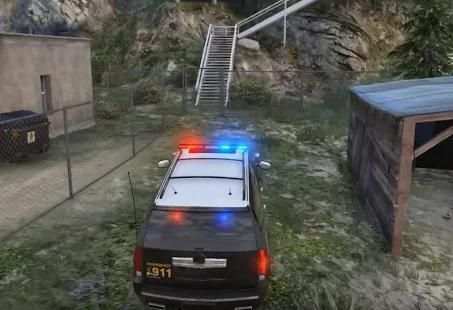 Police Car Driving screenshot 1