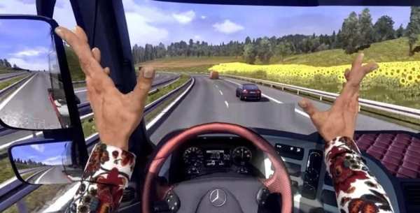 Euro Truck Simulator 2 Mobile MS स्क्रीनशॉट 2