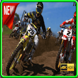 Motor Cross Circuit icon