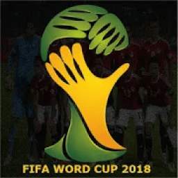 FIFA World Cup Live Match
