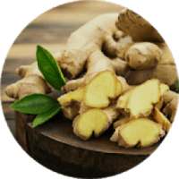 Heath Benefits & Uses of Ginger