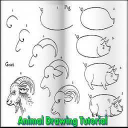 ikon Animal Drawing Tutorial