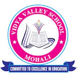 Vidya Valley School