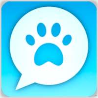 My talking pet free app