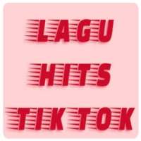 Lagu Hits Tik Tok 2018 on 9Apps