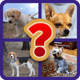 Adivina la raza de perro icon